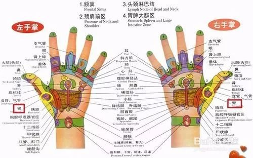 立冬後，天天這樣拍，調節五臟六腑，根本不用補！ 
