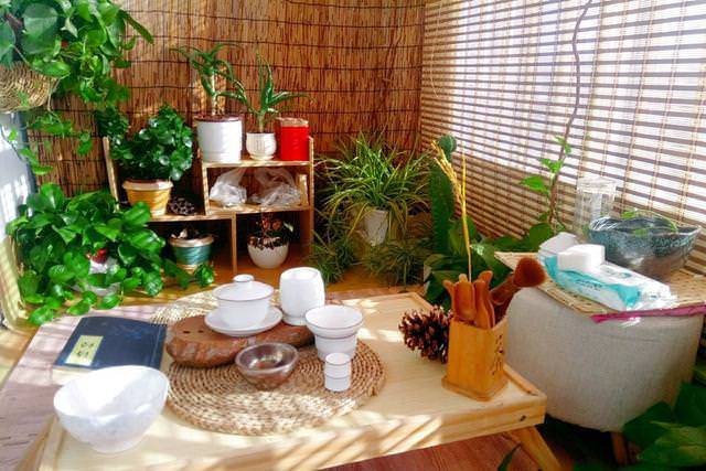 臥室一定要養這「3種」小盆栽，能殺蟎蟲、增氧氣，家人「不失眠」