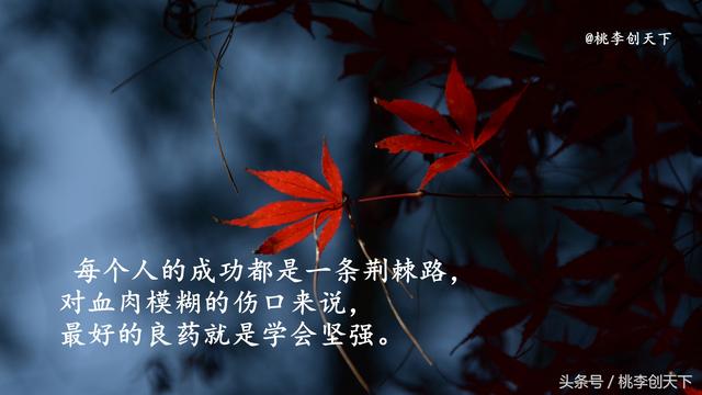 成功不是擊敗別人，而是改變自己，學會這10句話，孩子受用一生！ 