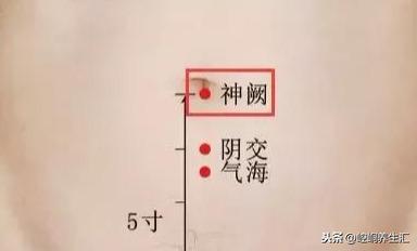 老中醫：胖補氣，瘦補血，對症下藥才最好！