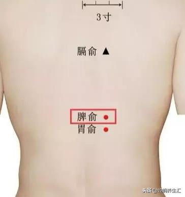 老中醫：胖補氣，瘦補血，對症下藥才最好！