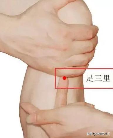 老中醫：胖補氣，瘦補血，對症下藥才最好！