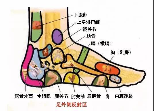 身體五臟六腑在腳上都有對應點，身體有不舒服，在腳上都有所反應