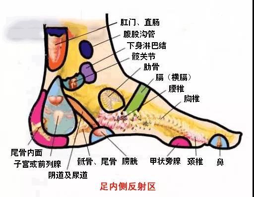 身體五臟六腑在腳上都有對應點，身體有不舒服，在腳上都有所反應