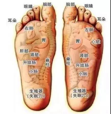 身體五臟六腑在腳上都有對應點，身體有不舒服，在腳上都有所反應