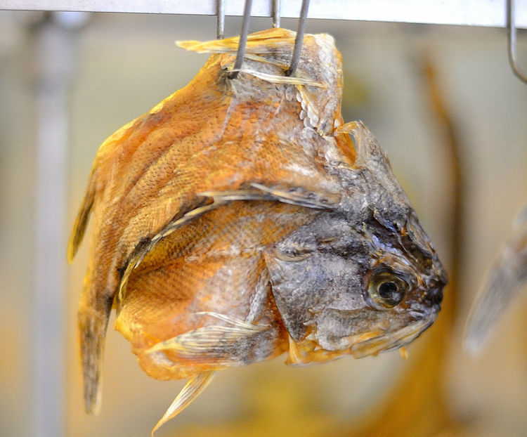 兒子生日，婆婆送十斤乾魚，女子嫌腥送鄰居，鄰居嘗後連夜搬家