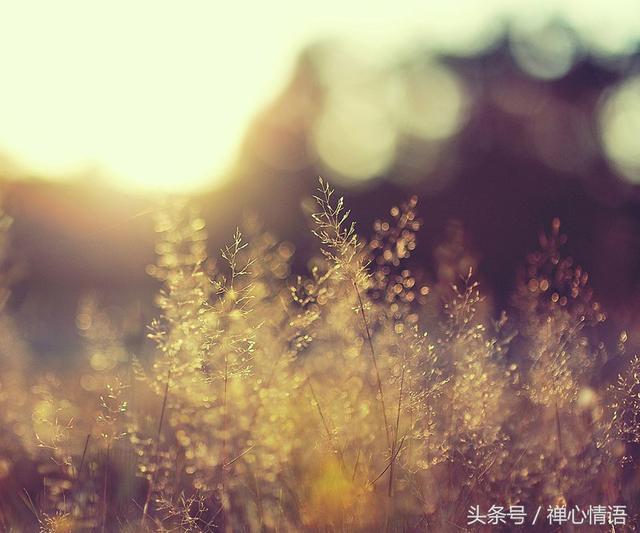 父母老了... 永遠不要對父母說這十句話！一定要記好 