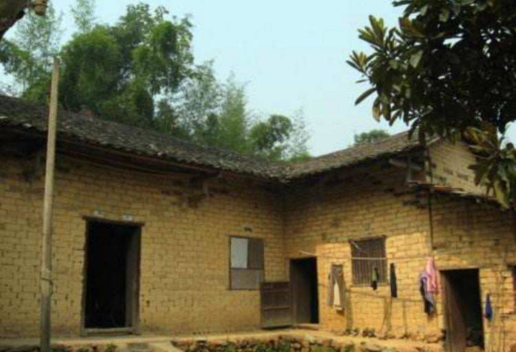 為了供弟弟讀書，姐嫁給窮漢，妹嫁給傻子，8年後一排豪車開進村，兄妹三人抱頭痛哭