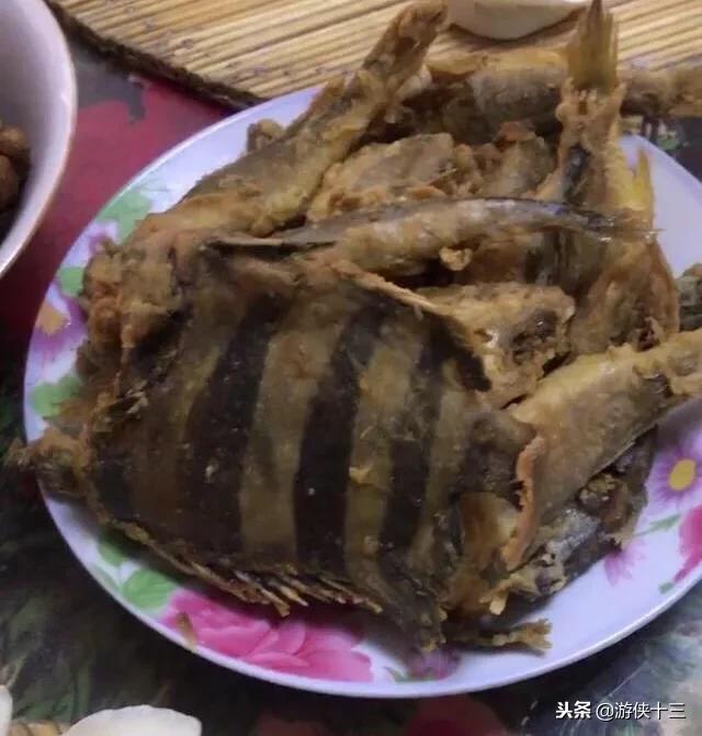 老公一夜不歸，老婆把他養了6年的魚給炸了，網友：沒了一套房