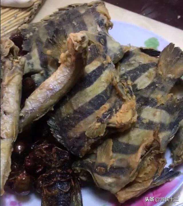 老公一夜不歸，老婆把他養了6年的魚給炸了，網友：沒了一套房
