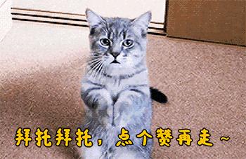 謝霆鋒本人回應，「會做一個好父親」，王菲對此「冷眼旁觀」！
