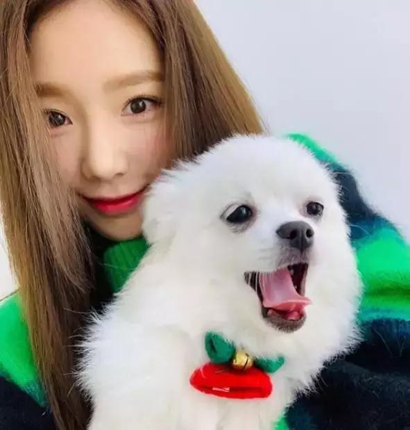盤點韓娛圈那些即使不刻意裝可愛，也萌到不行的嬌小愛豆！
