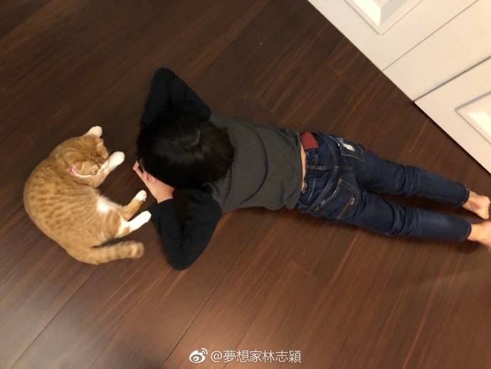 林志穎全家搓湯圓，陳若儀的肚子亮了，網友：像又懷了雙胞胎