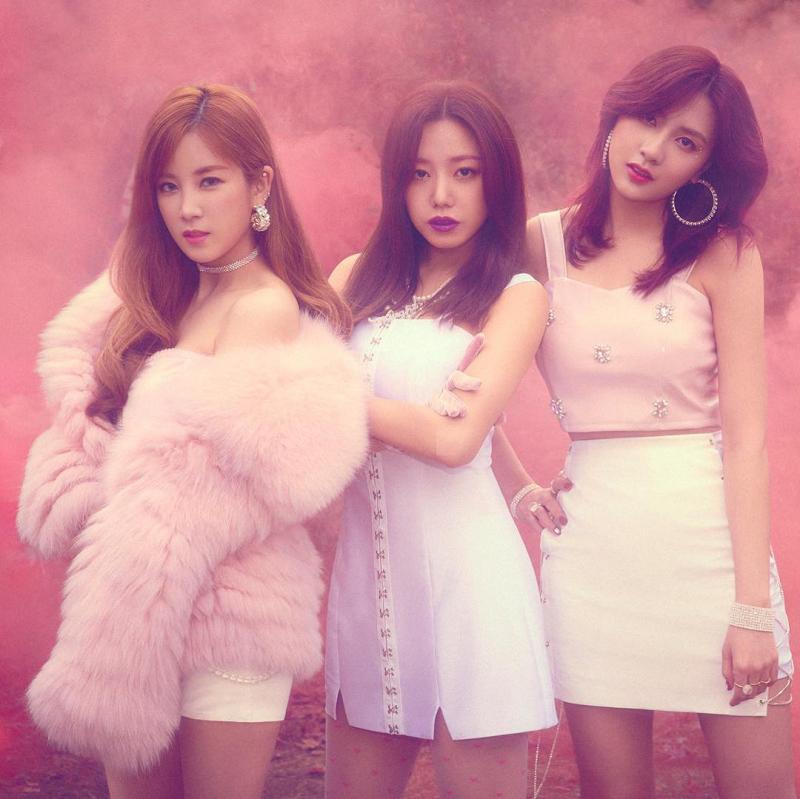 [Apink][分享]181228 Apink之所以了不起的理由~我們阿粉繼續走花路吧！