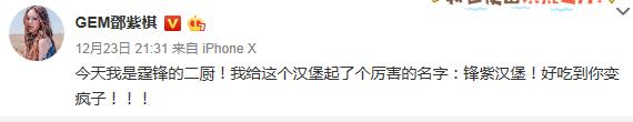 謝霆鋒聖誕沒和「王菲」一起過？「她」曬與「鋒哥」國外親密嗨玩合照，網友大驚！