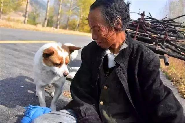 狗狗每天幫年老主人運柴，彼此相依為命，老人憂心狗狗未來