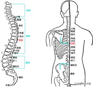 突發病痛，按揉穴位可救急
