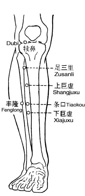 突發病痛，按揉穴位可救急