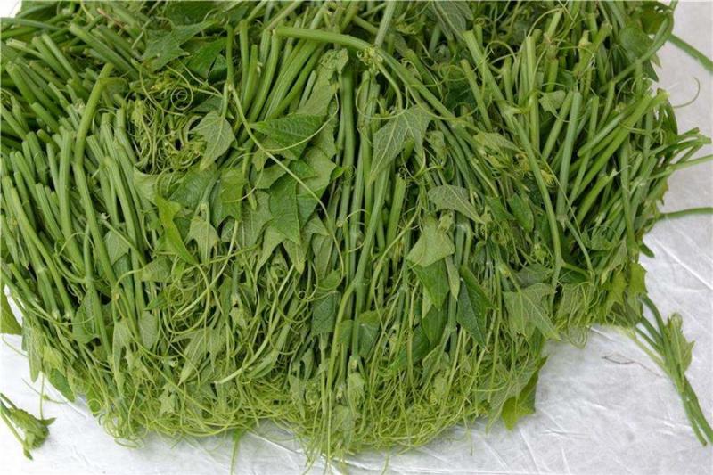 原來這個是降血糖高手，二十年糖尿患者食用此物，4天後立即見效~