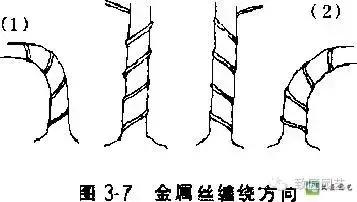 盆景造型基礎技術：這些盆景蟠紮技法你學會了嗎