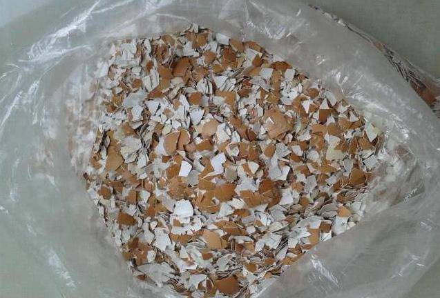 雞蛋一剝，殼就立馬扔掉？千萬別再扔了，這些年你都浪費了好幾萬塊了，很多人都需要！