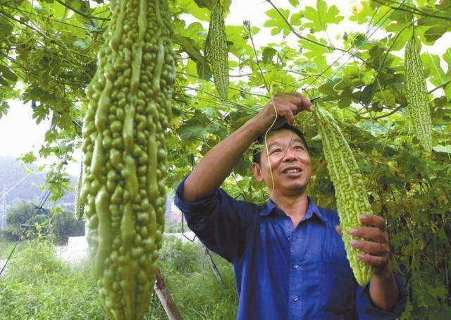 三種食物是「吸糖王」，每周堅持吃一次，糖尿病悄悄改善