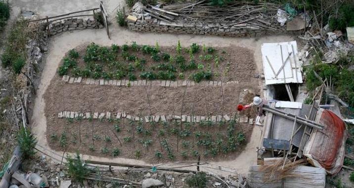 大爺菜地翻土，挖出「大量白色石頭」，被人高價收回，大爺卻突然感到心慌