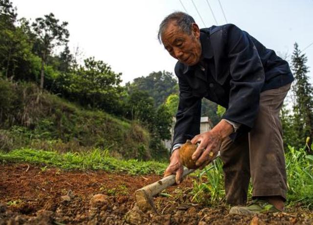 老人去世留下三萬債款，親兒子說不關他事，繼子還清後來了驚喜