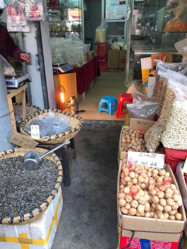 烤手手好蘇湖！路過雜貨店「捕獲野生取暖喵」　轉頭賣萌3連拍：歡迎光臨～