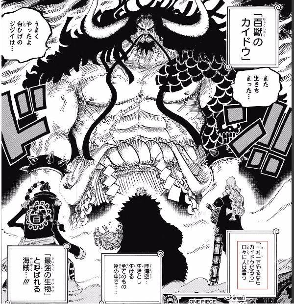 海賊王：凱多的和之國堅不可摧，海軍本部最高戰力誰能與之匹敵？
