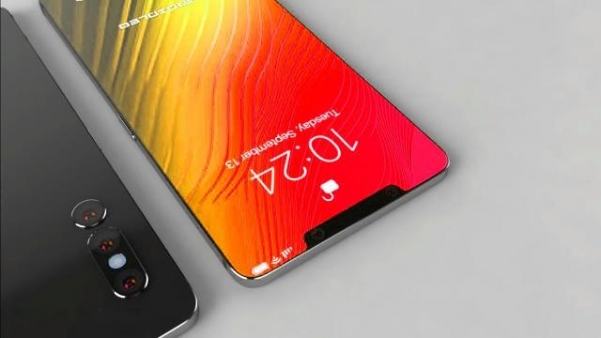 2019新iPhone設計曝光　網民：等多久都願意 