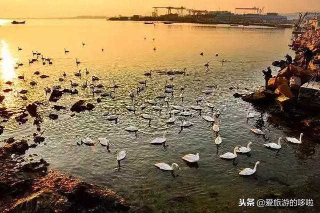 1月最佳旅行地，用一場旅行開啟2019！