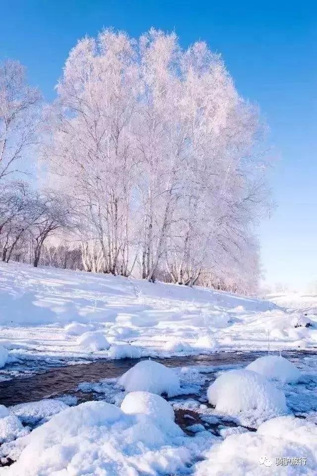 2019國內最美旅行時間表出爐，每年至少要去一個從沒去過的地方！