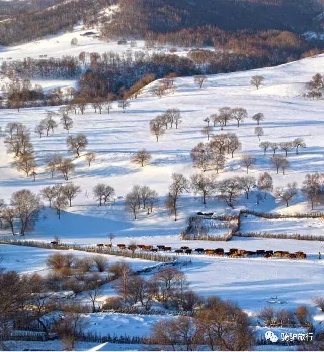 2019國內最美旅行時間表出爐，每年至少要去一個從沒去過的地方！