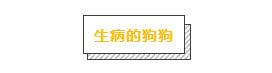 各品種狗狗運動量詳解，你遛對了嗎