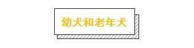 各品種狗狗運動量詳解，你遛對了嗎