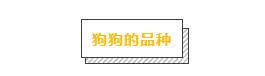 各品種狗狗運動量詳解，你遛對了嗎