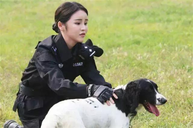 警犬早起出發執行任務，忍不住打了個大哈欠，隔壁警犬默默偷笑