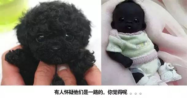 直擊世界上最黑的嬰兒，如今已經長大變這樣，網友：晚上自帶隱身功能！