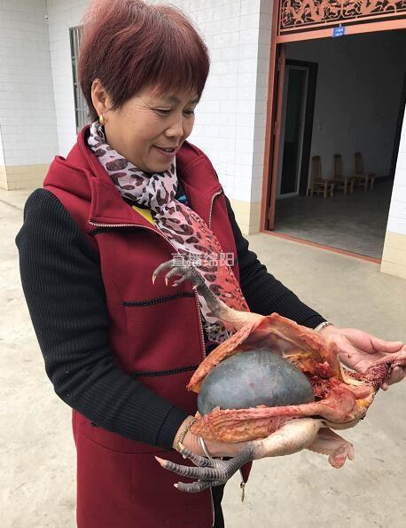 女子殺了養3年的老母雞準備熬湯，一剖開看到裏麵的『黑色巨物』頓時一驚