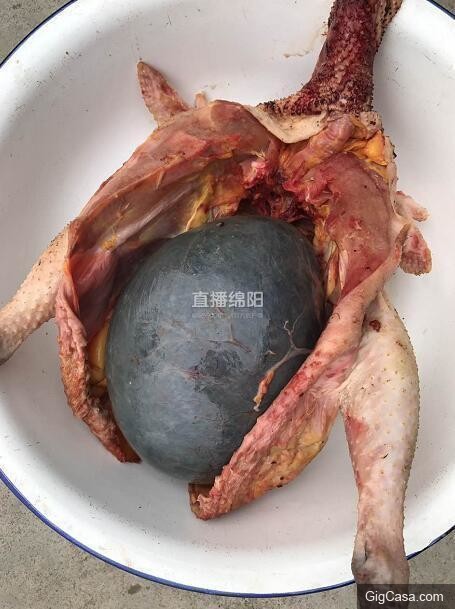 女子殺了養3年的老母雞準備熬湯，一剖開看到裏麵的『黑色巨物』頓時一驚