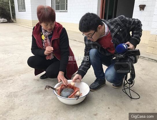 女子殺了養3年的老母雞準備熬湯，一剖開看到裏麵的『黑色巨物』頓時一驚