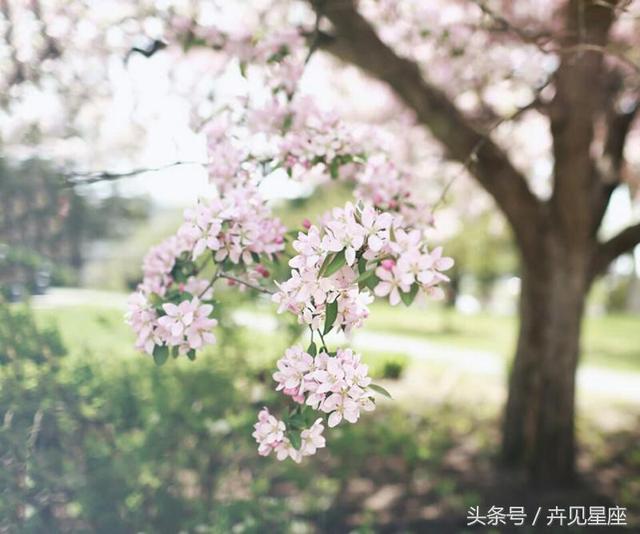 1月3號過後，最容易一夜暴富的生肖排行，快看有沒有你？