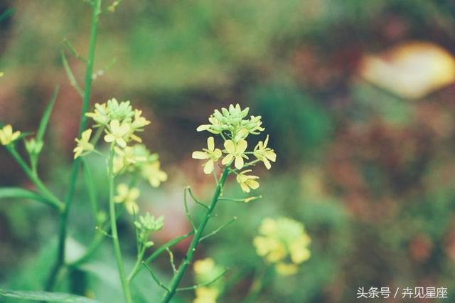 1月3號過後，最容易一夜暴富的生肖排行，快看有沒有你？