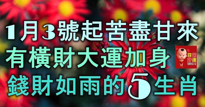 1月3號起，苦盡甘來，有橫財大運加身，錢財如雨的5大生肖！