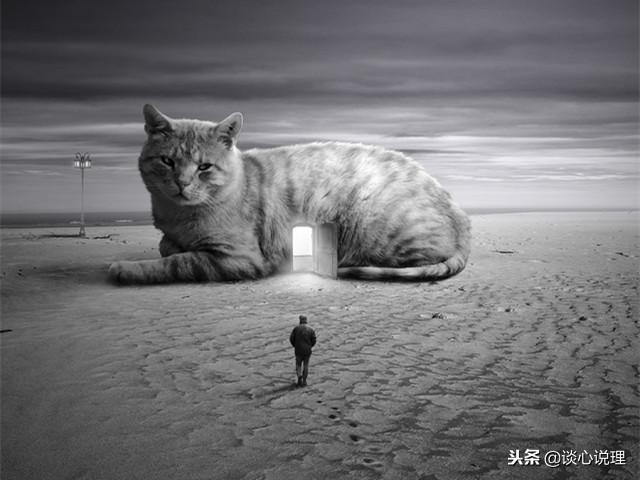 心理測試：第一眼看到什麼，測試你的內心隱藏了多少人格？ 