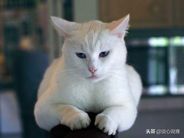 心理測試：第一眼看到什麼，測試你的內心隱藏了多少人格？ 