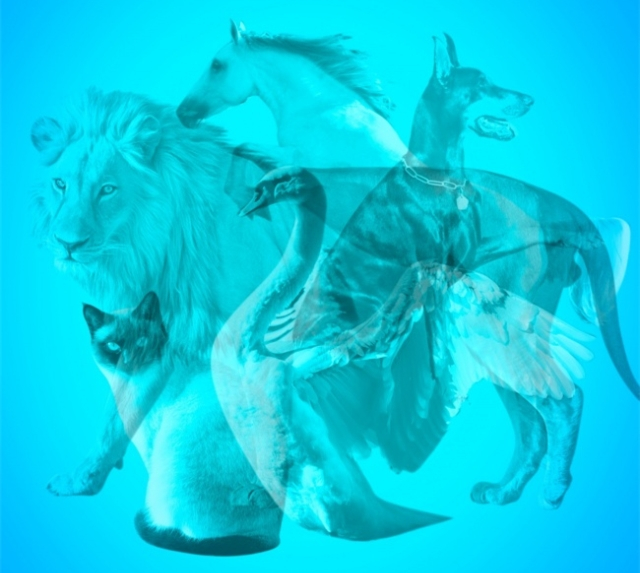 心理測試：第一眼看到什麼動物，測試你潛意識下的心理狀態？ 