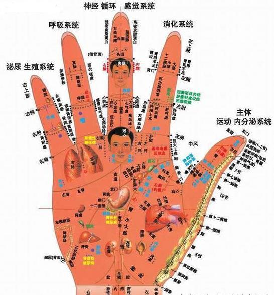 花不到五塊錢就能治你的白髮，用它洗頭，白髮慢慢變黑（為自己未來及家中長者收藏吧！）