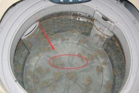 洗衣機只用不洗，比衣服更髒，跟老保姆學一招，清潔洗衣機不費勁